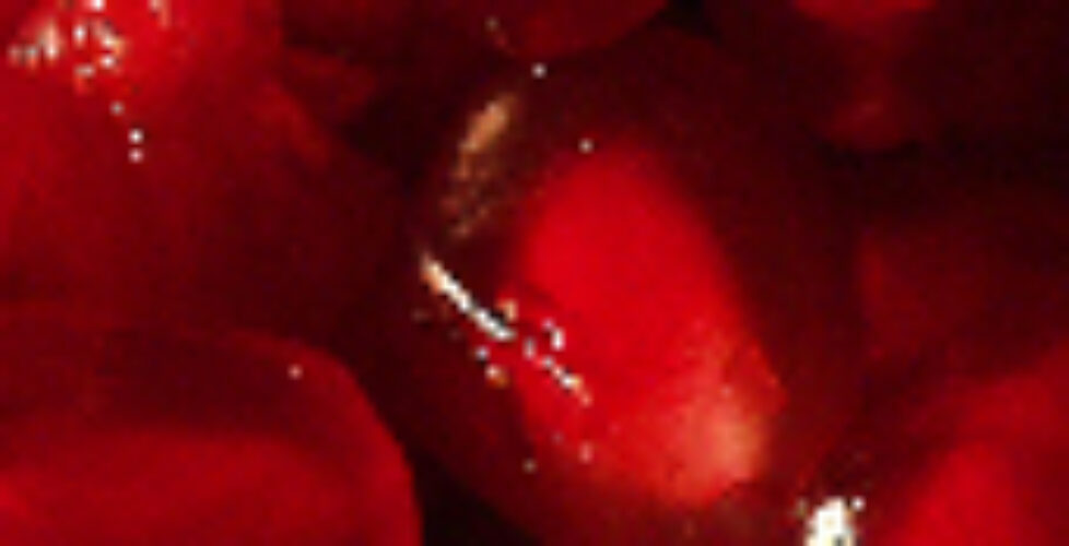PomegranateStrip