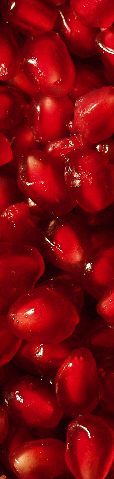 PomegranateStrip